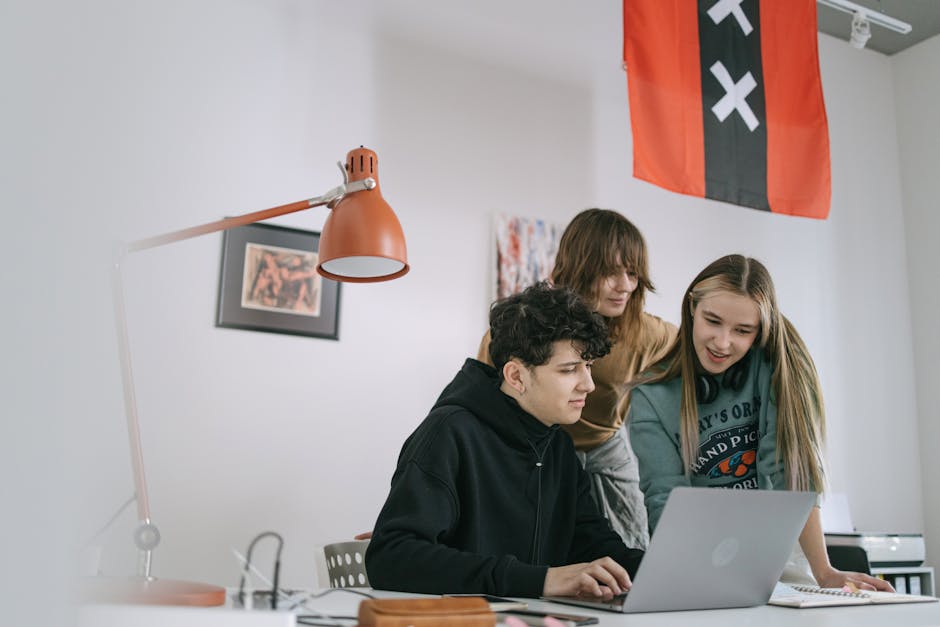 Sistema de fertirrigación automatizada en un invernadero moderno